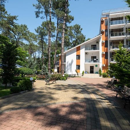 Buxus Hotel Shekvetili Bagian luar foto