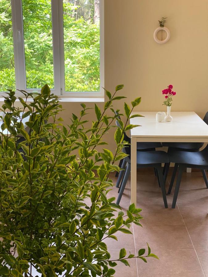 Buxus Hotel Shekvetili Bagian luar foto