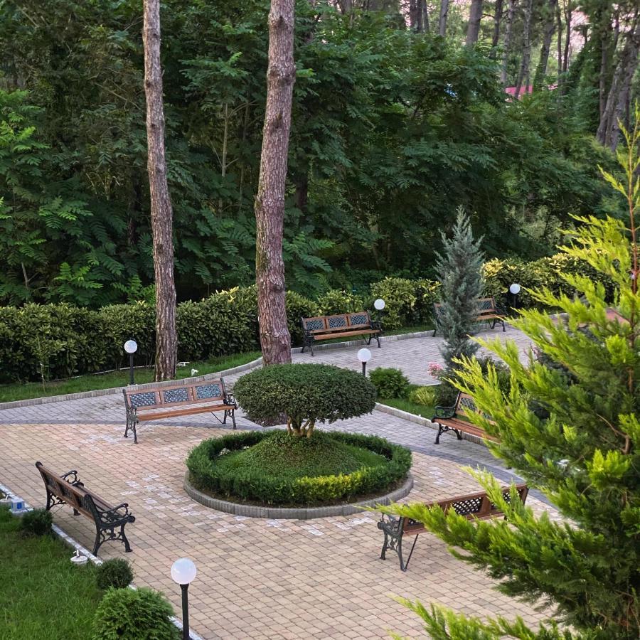 Buxus Hotel Shekvetili Bagian luar foto