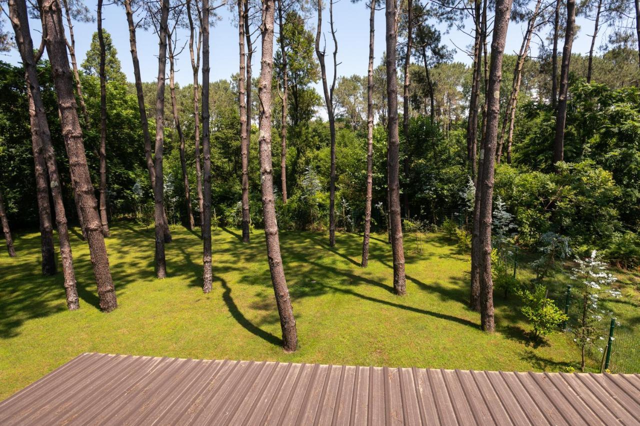 Buxus Hotel Shekvetili Bagian luar foto