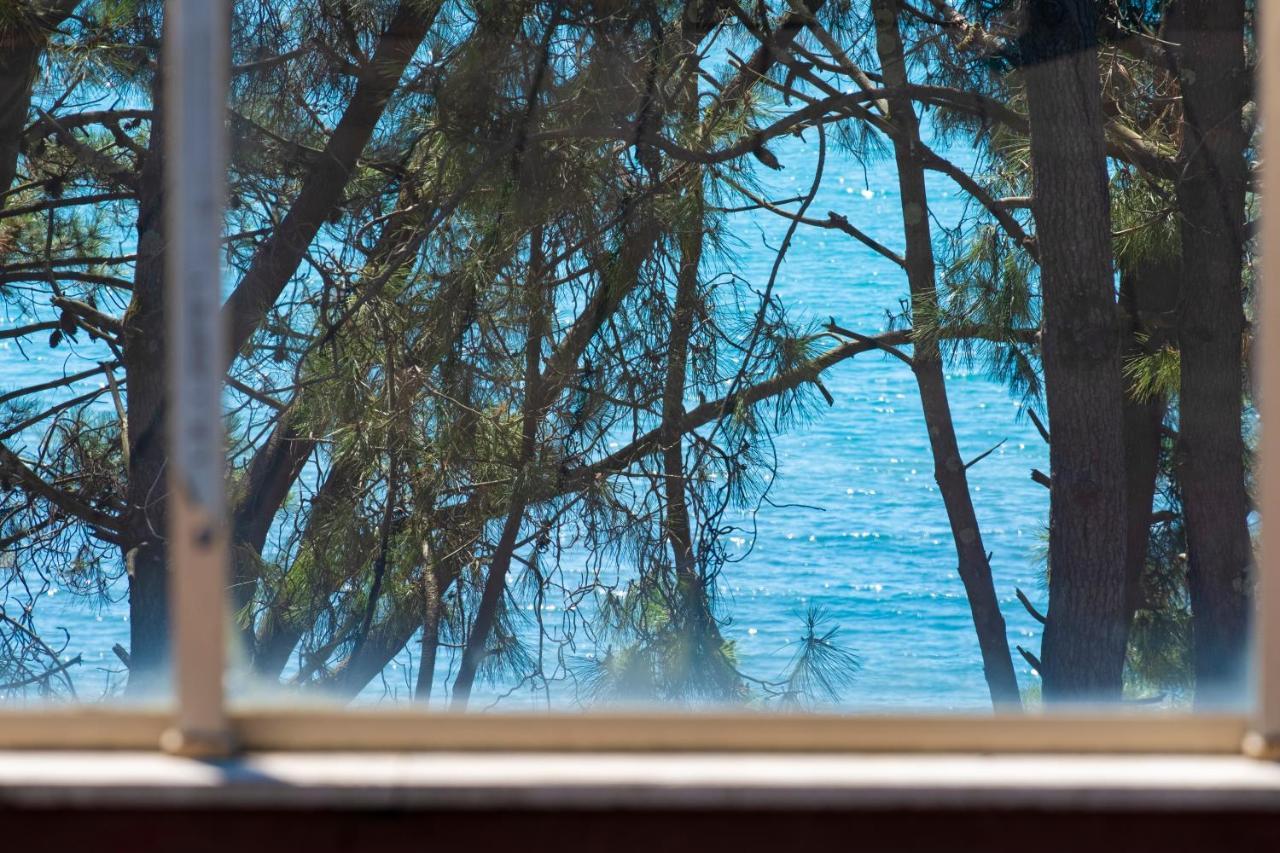 Buxus Hotel Shekvetili Bagian luar foto
