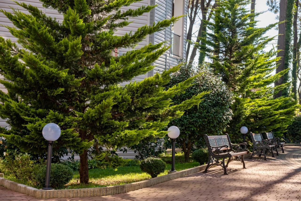 Buxus Hotel Shekvetili Bagian luar foto