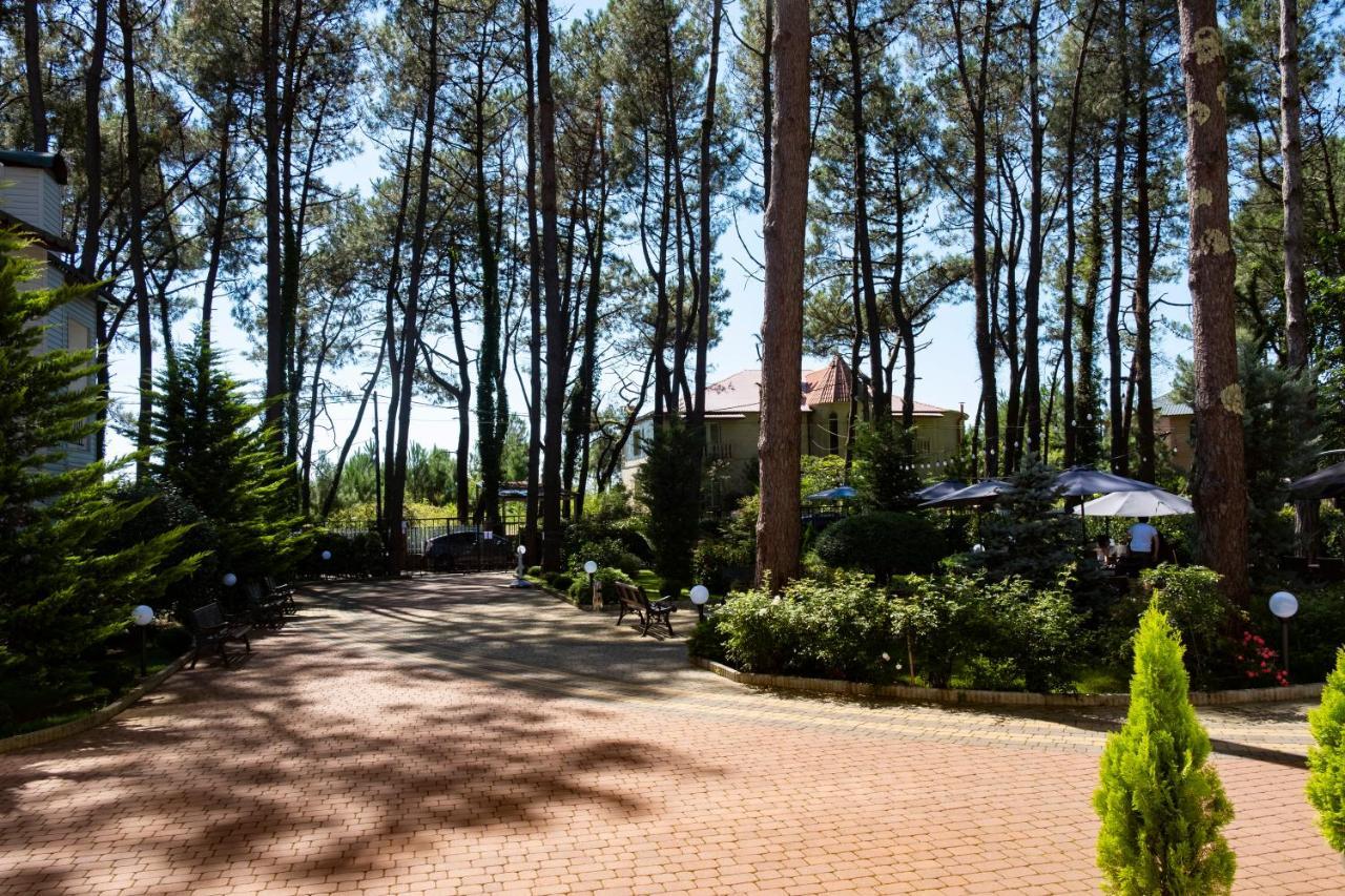 Buxus Hotel Shekvetili Bagian luar foto