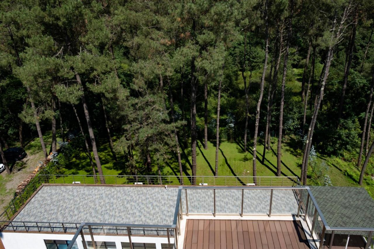 Buxus Hotel Shekvetili Bagian luar foto