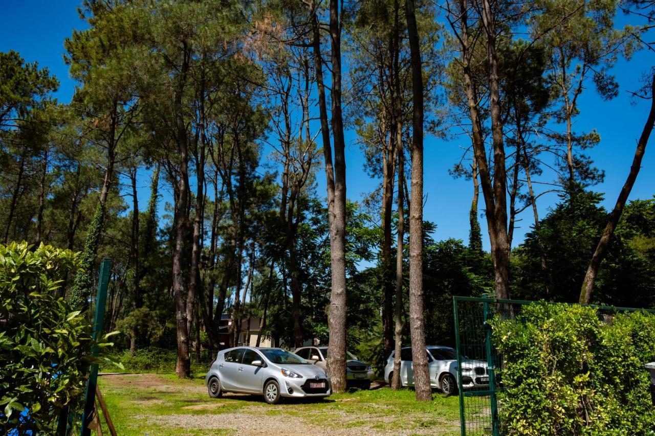 Buxus Hotel Shekvetili Bagian luar foto