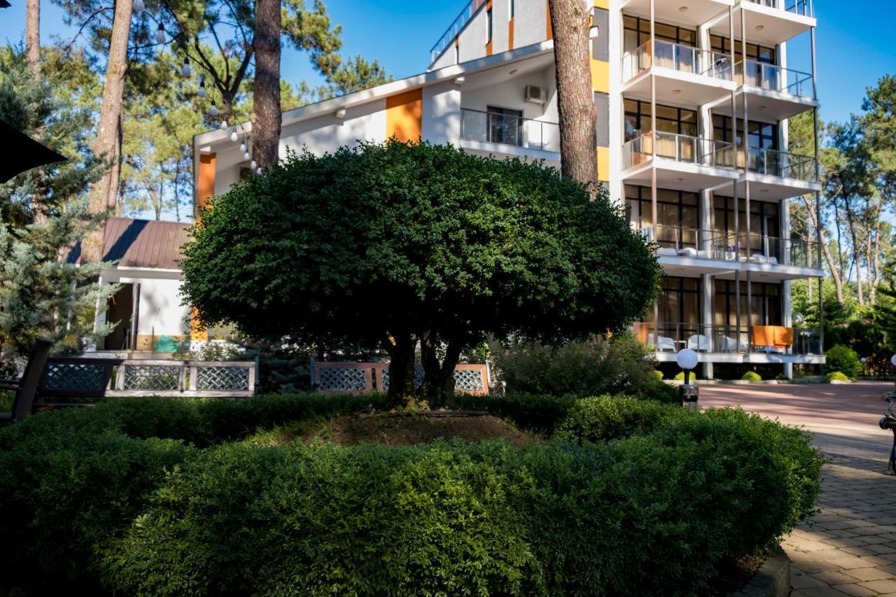 Buxus Hotel Shekvetili Bagian luar foto
