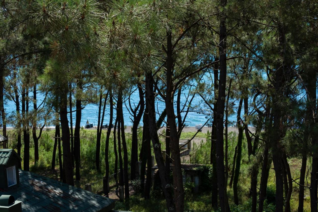 Buxus Hotel Shekvetili Bagian luar foto