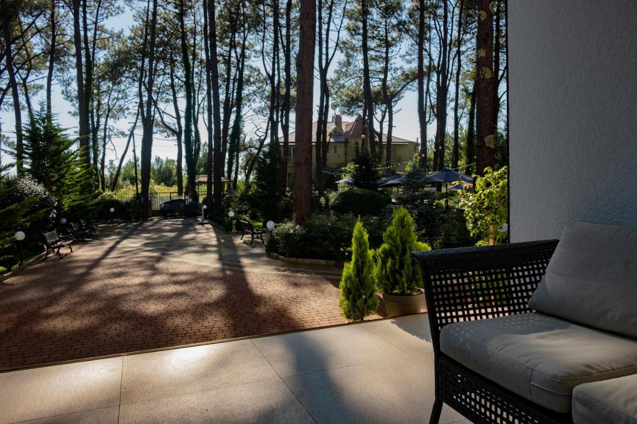 Buxus Hotel Shekvetili Bagian luar foto